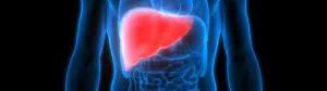 hepatite