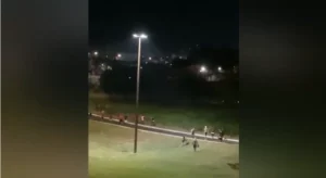 Torcedores