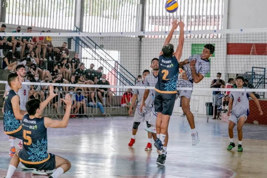 vôlei