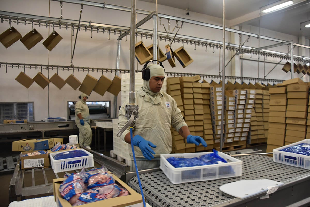 Indústria responde por 65% das exportações de MS