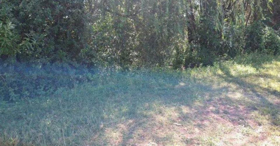 Corpo foi encontrado um dia após o crime
Foto: reprodução PCRS