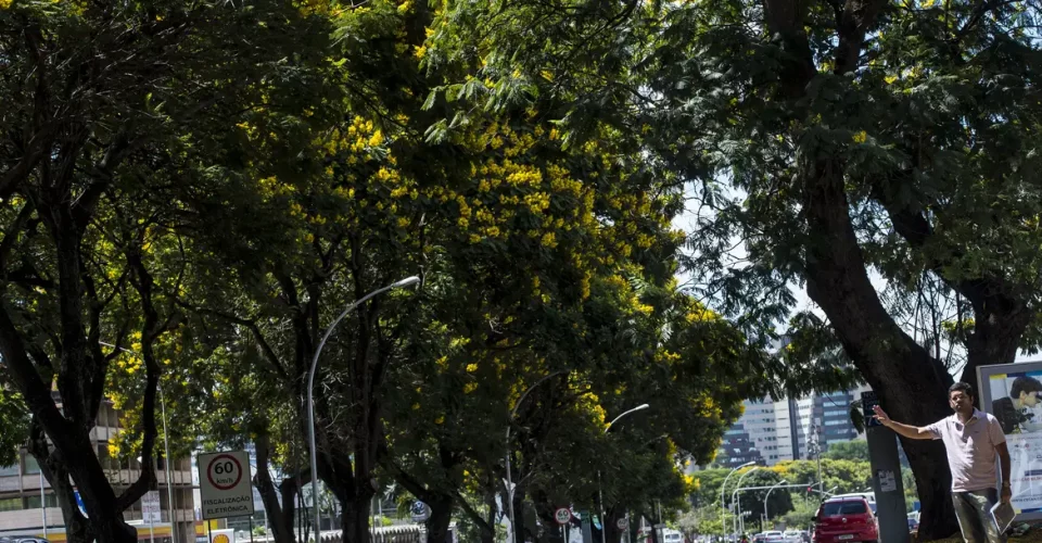 Foto: Marcelo Camargo/Agência Brasil