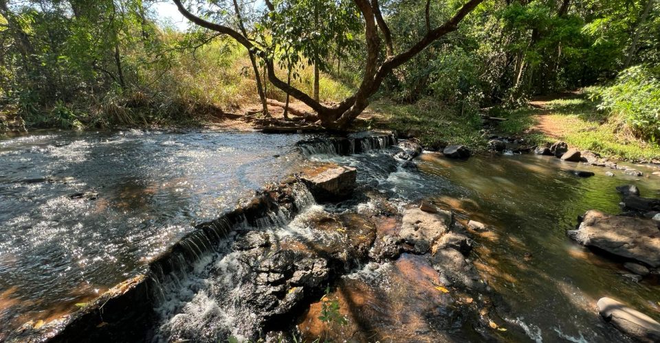 Foto: Divulgação/arquivo