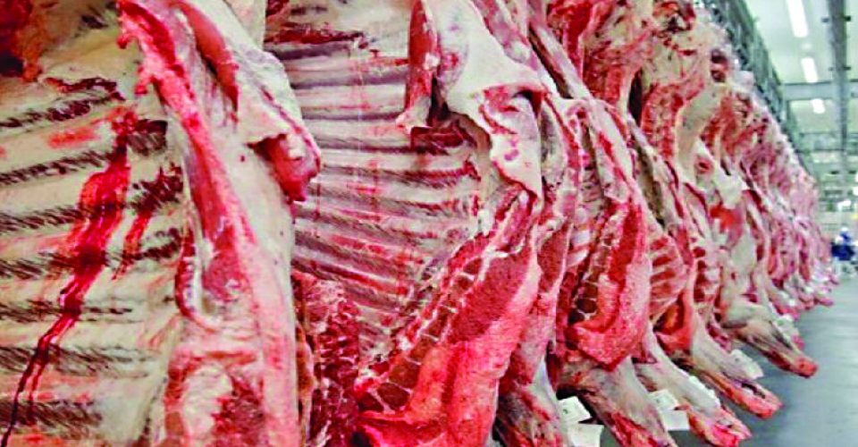 Dados do IBGE indicam
que o país produziu 11
milhões de toneladas
no ano passado - Foto: Reprodução