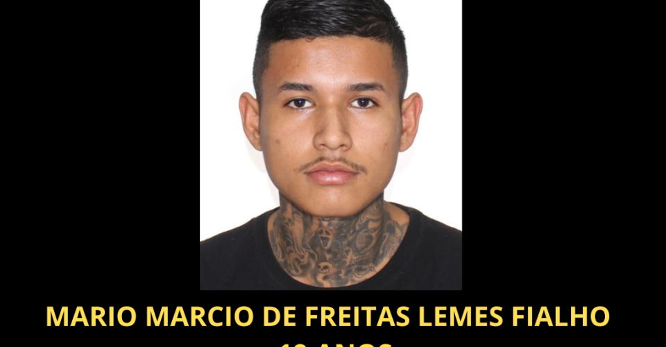 Foto: Divulgação