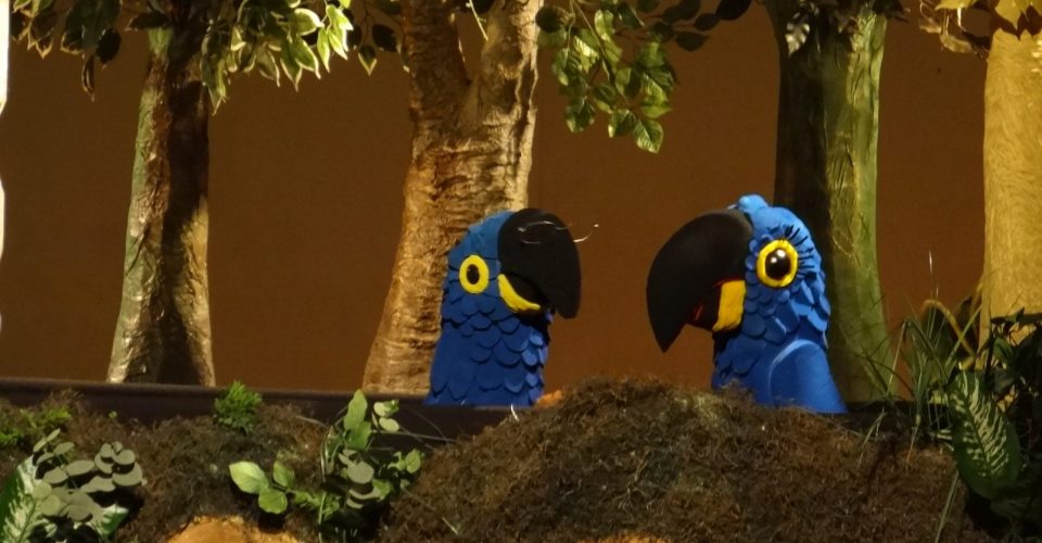 Foto: Divulgação