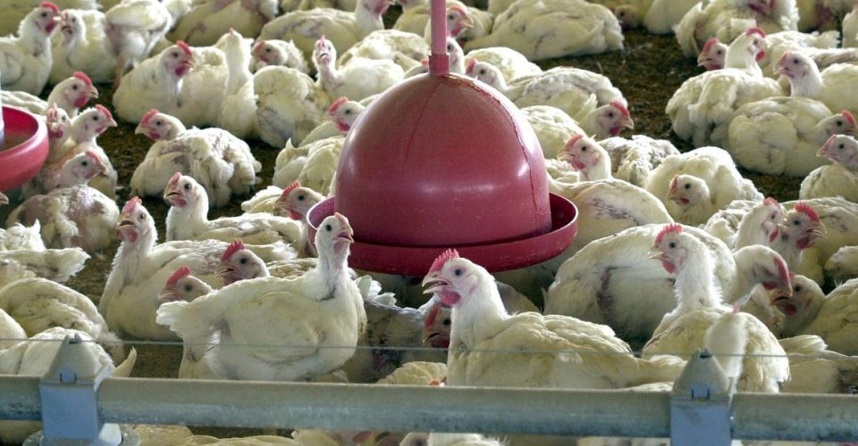Foto: Arquivo/Agência Brasil