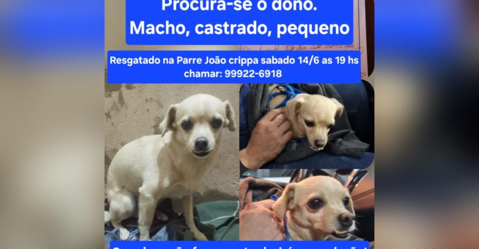 Foto: Reprodução