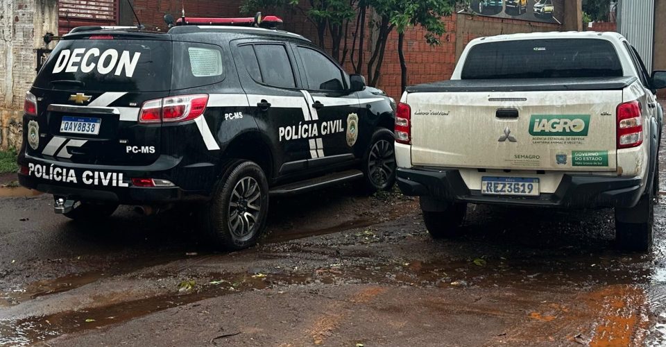 Foto: Divulgação