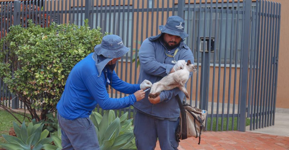 Foto: Elias Campos