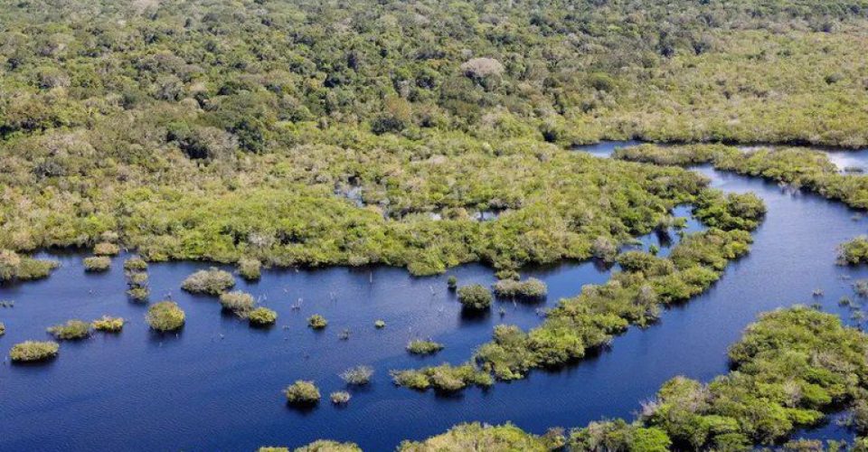Bioma Pantanal - Foto: Reprodução