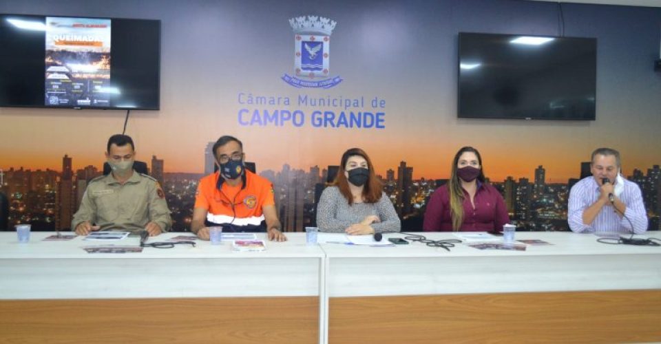 queimadas