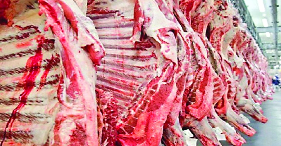 Carnes sendo 
preparadas para 
exportação em 
frigorífico de MS - Foto: Semadesc