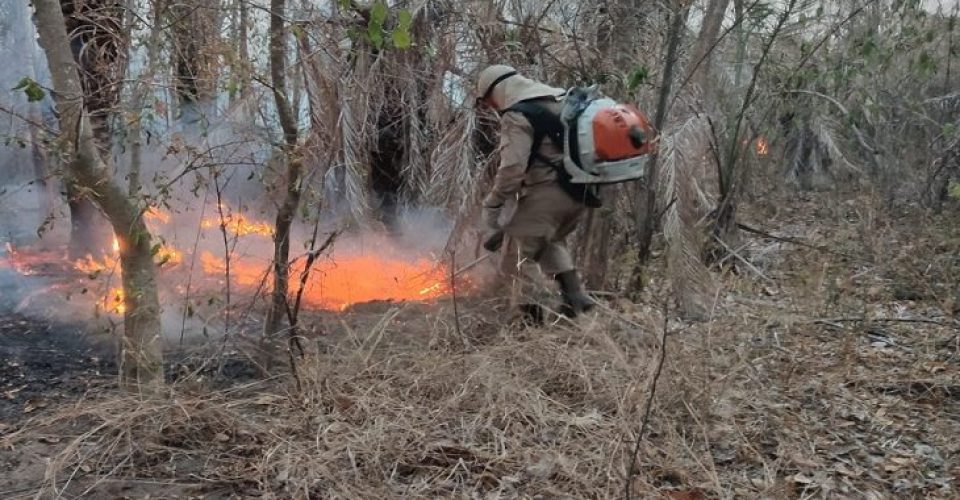 Fogo pantanal