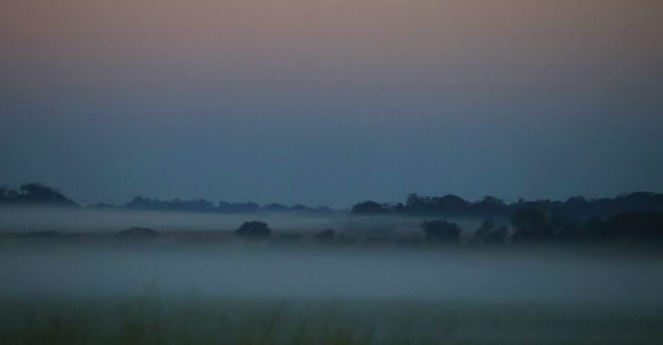 neblina